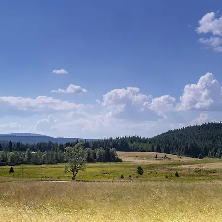 Bramborka 3* Janov nad Nisou